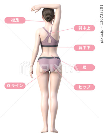 脱毛 施術部位と日本人女性3Dモデルのイラスト 全身正面と後ろ姿 136738201