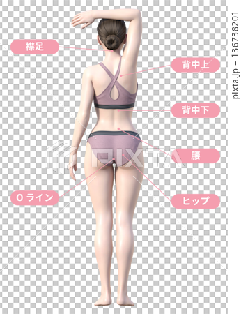 脱毛 施術部位と日本人女性3Dモデルのイラスト 全身正面と後ろ姿 136738201