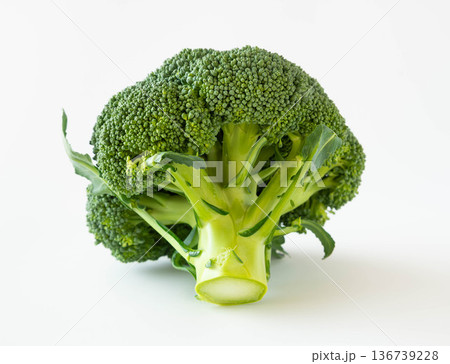 ブロッコリー1株 緑黄色野菜 ブロッコリー1株 緑黄色野菜 136739228
