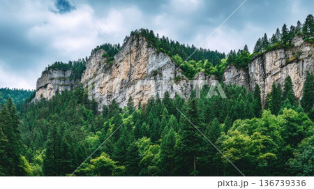 Scenic rocky mountains covered with dense green forest under cloudy sky landscape 136739336