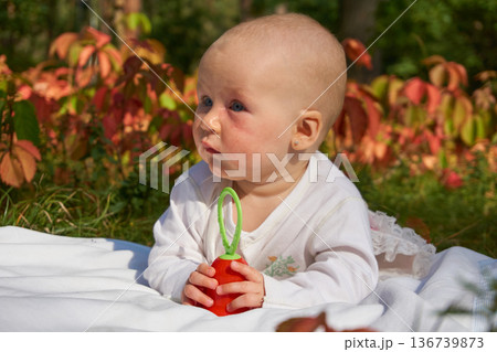 Cute baby crawling on blanket on warm sunny day in park 136739873