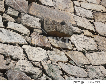 岡山城の石垣（岡山県岡山市）＿2025年7月撮影 136739935