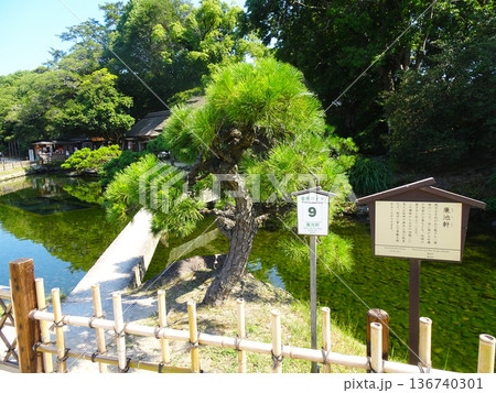 後楽園(岡山県岡山市)_2025年7月撮影 後楽園(岡山県岡山市)_2025年7月撮影 136740301