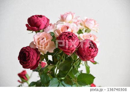 ピンクと赤のばら 136740308