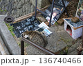 尾道　猫 136740466