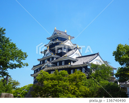 岡山城(岡山県岡山市)_2025年7月撮影 岡山城(岡山県岡山市)_2025年7月撮影 136740490