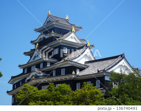 岡山城(岡山県岡山市)_2025年7月撮影 岡山城(岡山県岡山市)_2025年7月撮影 136740491