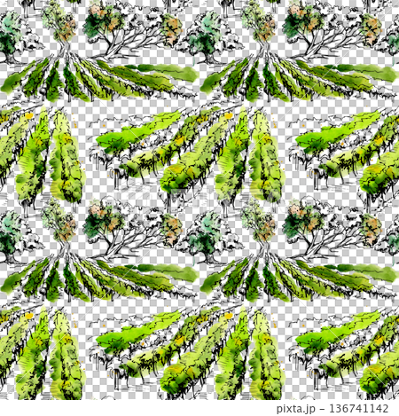 Mediterranean vineyard landscape, rolling countryside hills and vines, Tuscany trees. Seamless pattern hand painted in watercolor, ink outlines. Wrapping paper, wallpaper, boutique product branding. Mediterranean vineyard landscape, rolling countryside hills and vines, Tuscany trees. Seamless pattern hand painted in watercolor, ink outlines. Wrapping paper, wallpaper, boutique product branding. 136741142