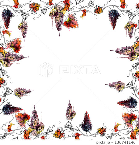 Square frame of grapevines with leaves, fruit bunches, curly tendrils hand drawn in ink outline and watercolor bleed. Restaurant drink menus, vineyard posters, tasting invitations, recipe layouts 136741146