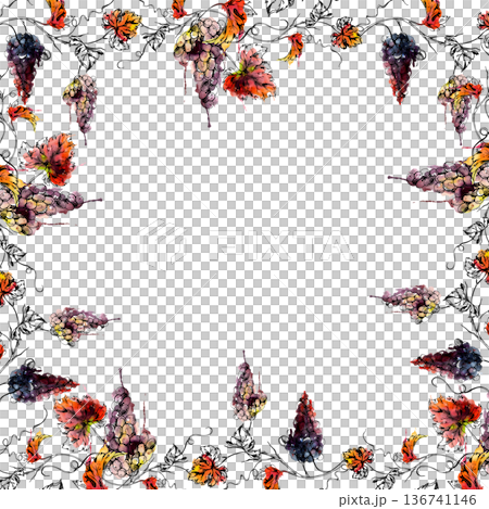 Square frame of grapevines with leaves, fruit bunches, curly tendrils hand drawn in ink outline and watercolor bleed. Restaurant drink menus, vineyard posters, tasting invitations, recipe layouts 136741146