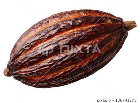 Whole Cocoa Pod Whole Cocoa Pod 136741275