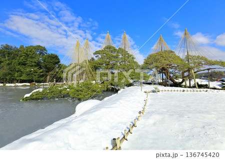 【石川県】白銀の兼六園（雪吊唐崎松） 136745420