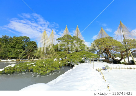 【石川県】白銀の兼六園（雪吊唐崎松） 136745423