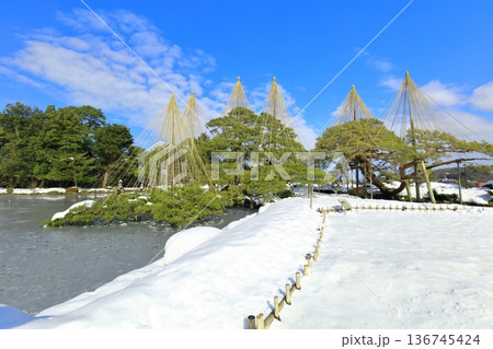 【石川県】白銀の兼六園（雪吊唐崎松） 136745424