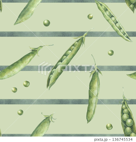 Seamless pattern with green peas pods and seeds on the horizontal lines background. Hand-drawn watercolor illustration isolated on light green background. Ideal for packaging, wrapping paper, textile 136745534