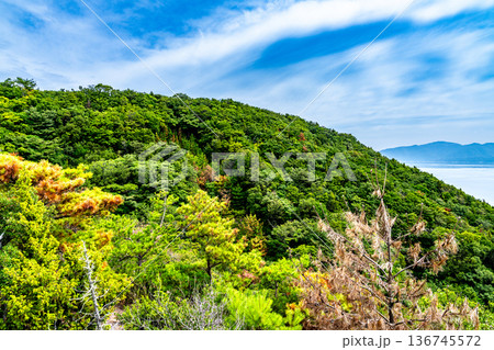 【続日本100名城】初秋の引田城跡の城山の風景　香川県東かがわ市 136745572
