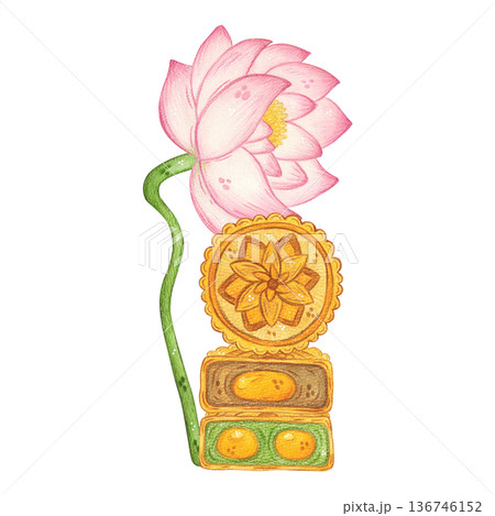 A composition of a lotus flower and moonflowers. Hand-drawn watercolor illustration, cartoon. Design for posters, stickers, and prints. Mid-Autumn Festival, China, traditions A composition of a lotus flower and moonflowers. Hand-drawn watercolor illustration, cartoon. Design for posters, stickers, and prints. Mid-Autumn Festival, China, traditions 136746152