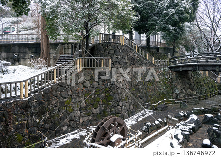雪景色の音無親水公園 東京都北区 雪景色の音無親水公園 東京都北区 136746972