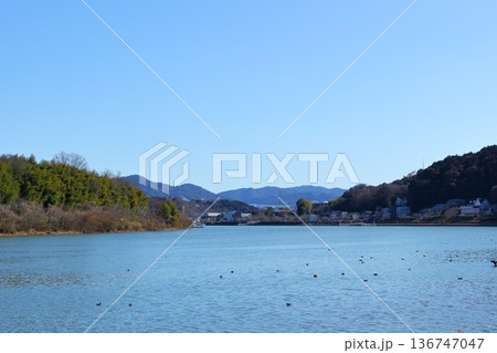 穏やかな瀬田川と河畔の風景 上流側から下流方向の風景 穏やかな瀬田川と河畔の風景 上流側から下流方向の風景 136747047