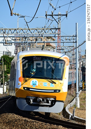 小田原を目指しカーブを行くもころん号 小田原を目指しカーブを行くもころん号 136747557