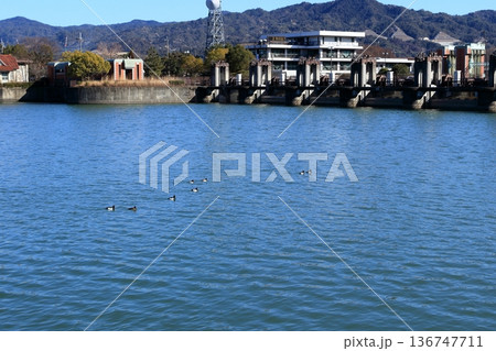 大津市南郷の瀬田川洗堰 大津市南郷の瀬田川洗堰 136747711