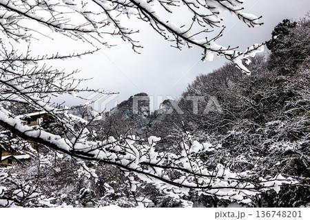 【新潟県_佐渡金山】雪の道遊の割戸 2月 【新潟県_佐渡金山】雪の道遊の割戸 2月 136748201