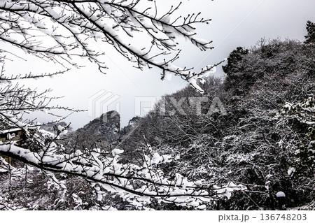 【新潟県_佐渡金山】雪の道遊の割戸 2月 136748203