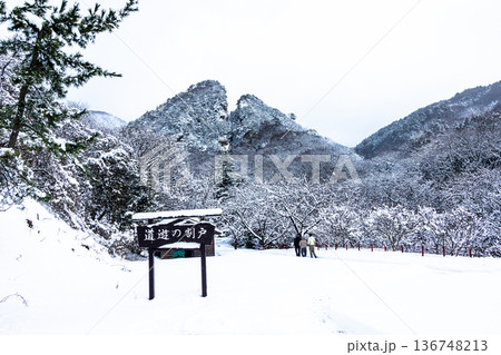 【新潟県_佐渡金山】明治官営鉱山コース・道遊の割戸 136748213