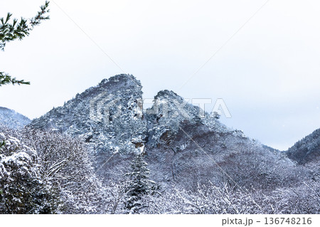 【新潟県_佐渡金山】明治官営鉱山コース・道遊の割戸 【新潟県_佐渡金山】明治官営鉱山コース・道遊の割戸 136748216