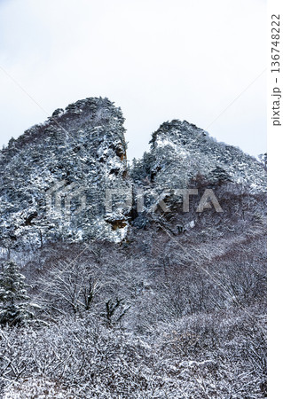 【新潟県_佐渡金山】明治官営鉱山コース・道遊の割戸 136748222