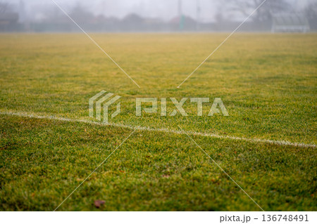 View of green grass on a street football field in early spring. 136748491