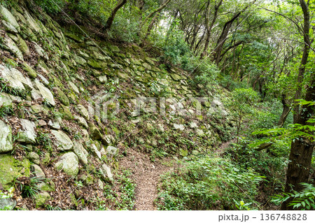 【続日本100名城】初秋の引田城跡　北二の丸の石垣2　香川県東かがわ市 136748828