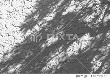 白い壁に映る木の葉の影、葉のシルエット 白い壁に映る木の葉の影、葉のシルエット 136749138