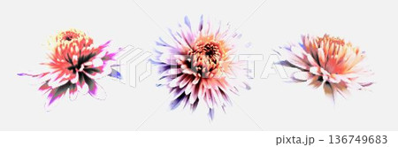 Set of blooming flowers with colorful CMYK halftone dot texture. Vector floral elements with retro pop art print effect and grainy lo-fi aesthetic. Creative botanical silhouettes isolated on white. Set of blooming flowers with colorful CMYK halftone dot texture. Vector floral elements with retro pop art print effect and grainy lo-fi aesthetic. Creative botanical silhouettes isolated on white. 136749683