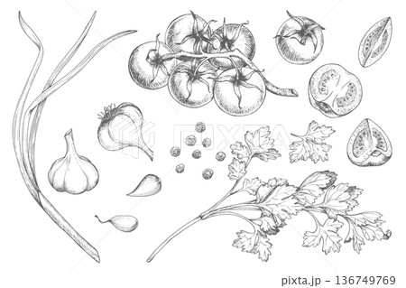 Set of vegetebales in the graphic. Ink hand drawn objects of garlic, tomatoes, green onion, black pepper and parsley. Vector elements. 136749769