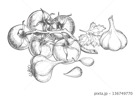 Composition of the tomatoes, garlic and parsley in ink. Vector ink styled handmade illustration. For packaging design, cards, cover, prints, product labels and fabric. 136749770