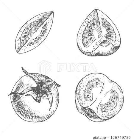Tomato and parts of it. Vector ink styled handmade illustration. For packaging design, cards, cover, prints, product labels and fabric. Tomato and parts of it. Vector ink styled handmade illustration. For packaging design, cards, cover, prints, product labels and fabric. 136749783