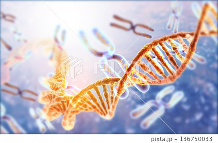 DNA strands on Scientific background 136750033