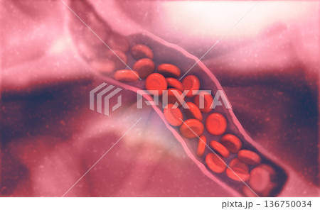 Blood cells on vein Blood cells on vein 136750034