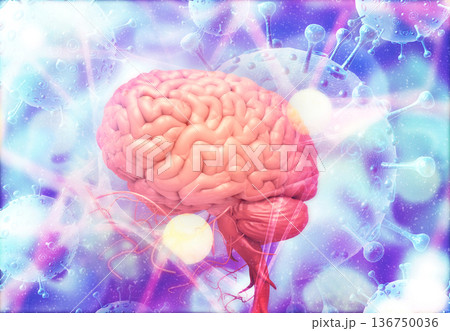 Human brain electrical signal 136750036