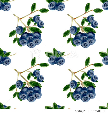 Blueberry watercolor seamless pattern. Hand-drawn blue berry on a white background. Botanical clip art. Perfect for food blog designs, organic store menus, and packaging for products and cosmetics. 136750105