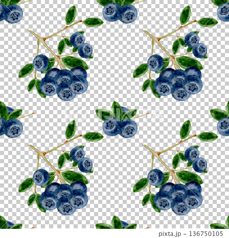 Blueberry watercolor seamless pattern. Hand-drawn blue berry on a white background. Botanical clip art. Perfect for food blog designs, organic store menus, and packaging for products and cosmetics. 136750105