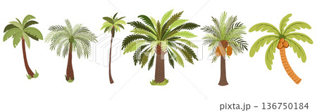 Hand-Drawn Tropical Palm Trees Set in Childlike Cartoon Style 136750184