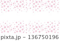 小さい桜のフレーム白背景 136750196
