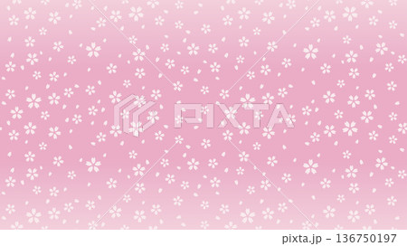 小さい桜のシームレスパターン背景 136750197