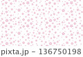 小さい桜のシームレスパターン白背景 136750198