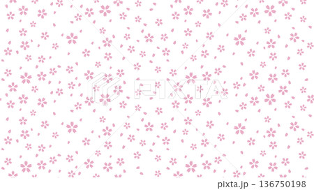 小さい桜のシームレスパターン白背景 136750198