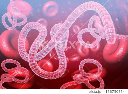 Ebola virus in blood 136750354