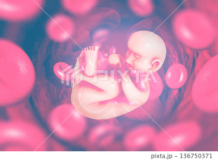 Human fetus on scientific background 136750371
