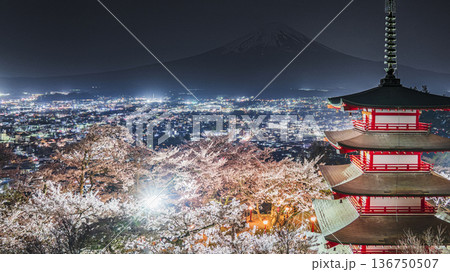 新倉山浅間公園の夜景 ライトアップされた桜と忠霊塔、闇夜に浮かぶ富士山【山梨県・富士吉田市】 新倉山浅間公園の夜景 ライトアップされた桜と忠霊塔、闇夜に浮かぶ富士山【山梨県・富士吉田市】 136750507